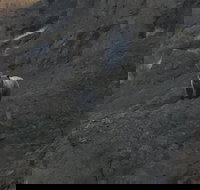 Yellowstones Upper Loop Tour smaller group sizes for better tour experience - Accommodation Ohio