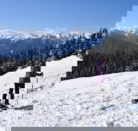 Hurricane Ridge Guided Snowshoe Tour in Olympic National Park - Accommodation Ohio