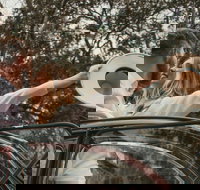 Private Historic Savannah Tour in a Vintage Citron - Accommodation Ohio