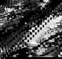 Genteel and Bard's Savannah Dark History and Ghost Walking Tour - Accommodation Ohio