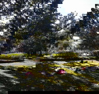 Yoga in Forsyth Park - Accommodation Ohio