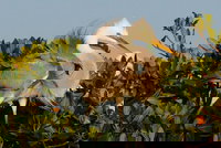 Everglades National Park Expedition