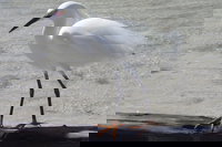 Book Cities Accommodation Vacations, Accommodation Ohio Accommodation Ohio