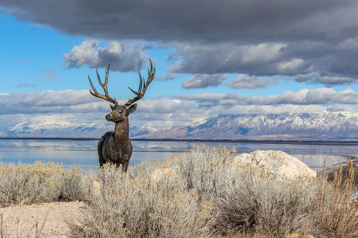 9 Day Winter Yellowstone, Grand Teton & Mighty 5 National Park Private Explorer - thumb 3