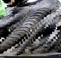 Salt Lake Annual Connect Pass - Accommodation Ohio