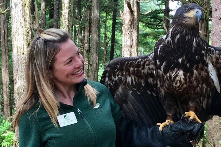 Sitka Premium Tour- Private- Alaska Raptor Center, Fortress Of The Bears,Totems - thumb 3
