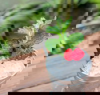 Small-Group Cocktail Tour in Denver - Accommodation Ohio