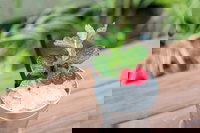 Small-Group Cocktail Tour in Denver