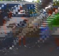 Grand Canyon Sightseeing Tour from Flagstaff - Accommodation Ohio