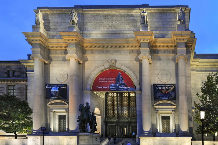 American Museum Of Natural History Admission Ticket - thumb 1