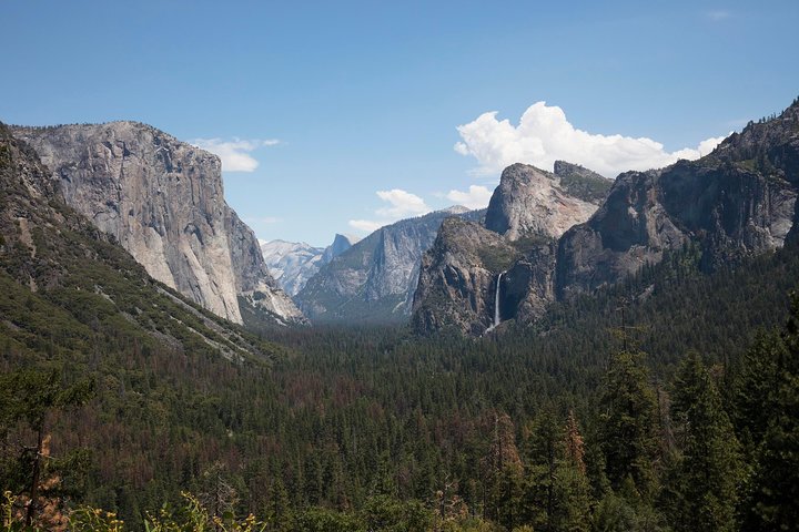 3-Day California Coast Tour: Santa Barbara, San Francisco And Yosemite - thumb 5