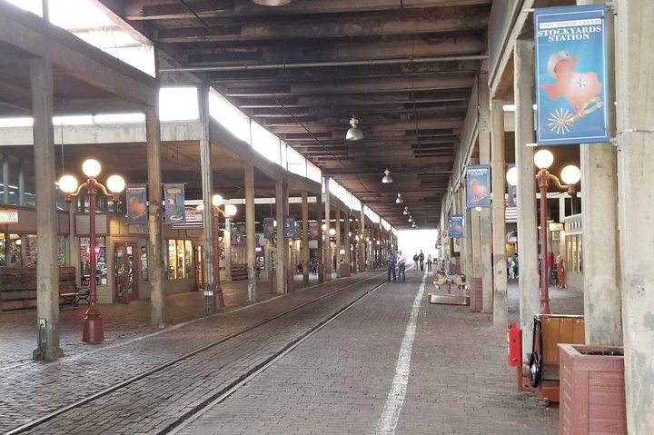 Half-Day Fort Worth Highlights Tour - thumb 2