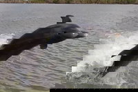 Small-Group Everglades Boating Kayaking and Walking Eco Tour