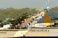 Private Everglades National Park Photo and Wildlife Safari