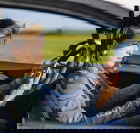 Historical Baltimore Self-Driving Sightseeing Audio Tour - Accommodation Ohio