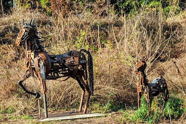 A City In A Forest: Private Atlanta Nature Tour - thumb 0