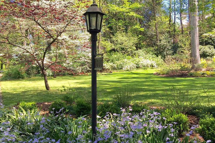 A City In A Forest: Private Atlanta Nature Tour - thumb 1