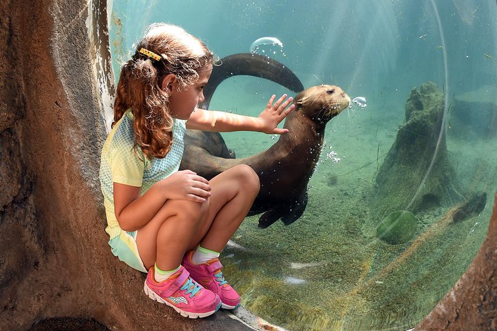 Zoo Miami Ticket With Optional Upgrade - thumb 0