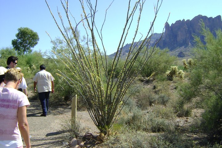 Apache Trail And Dolly Steamboat Tour - thumb 1