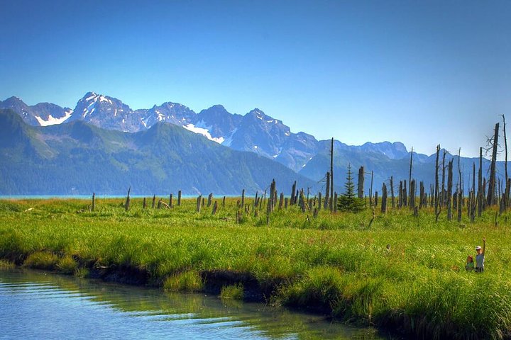 Seward Wilderness Hiking - thumb 0