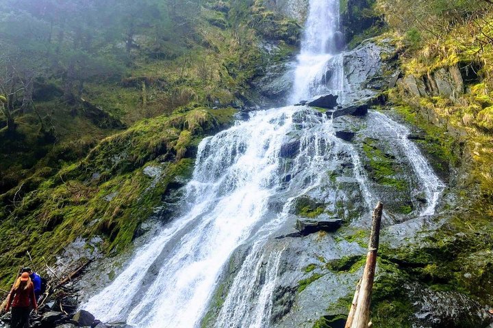 Seward Wilderness Hiking - thumb 1