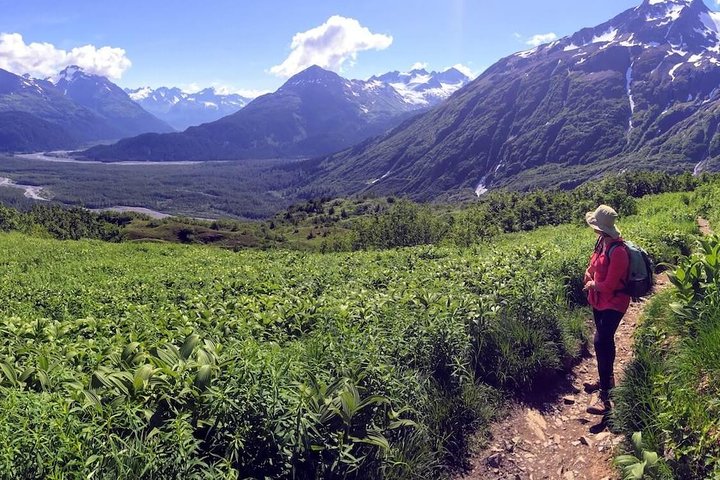 Seward Wilderness Hiking - thumb 4