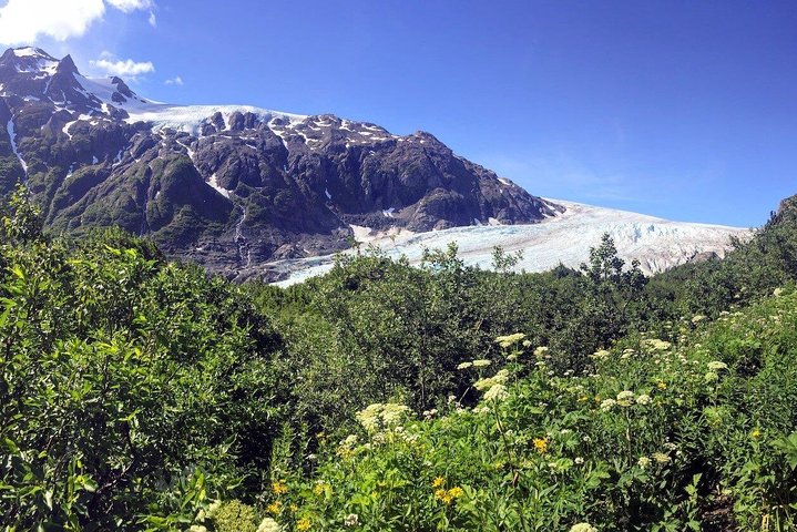 Seward Wilderness Hiking - thumb 5