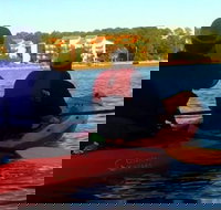 Dolphins and Wildlife Kayak Experience from Gulf Shores - Accommodation Ohio