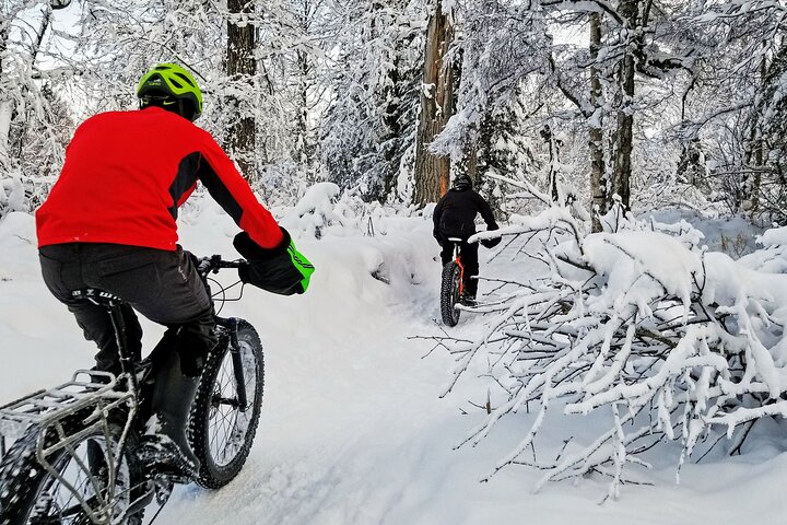 Winter Fat Biking Anchorage Tour - thumb 1