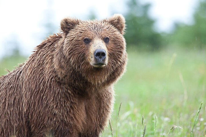 6-Day Alaska Adventure Tour - thumb 0