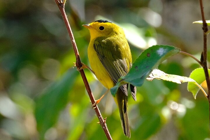 6-Day Alaska Adventure Tour - thumb 2