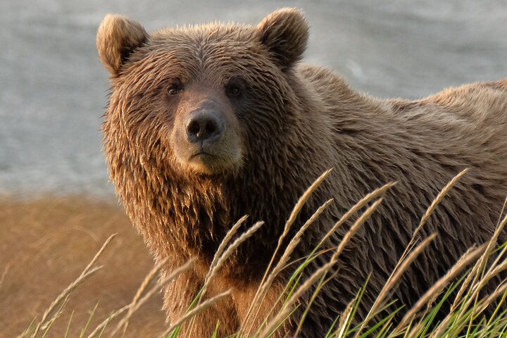 6-Day Alaska Adventure Tour - thumb 4